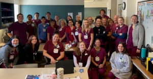 Inpatient Physical Occupational and speech language pathology